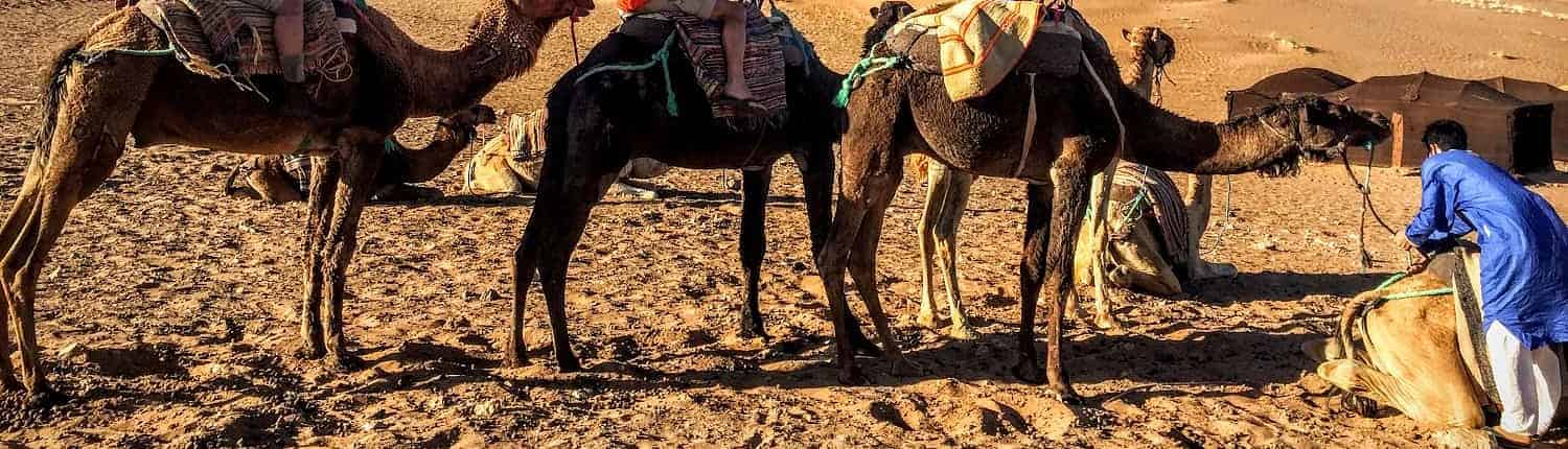 Cultural and Walking - Morocco Nature Trails